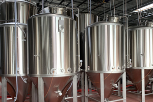 Beer fermenters and Brewing Equipment